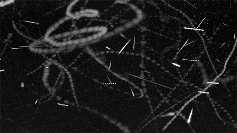 Stack of first night's "meteor" observations
Seems there are quite a few moths along with the planes and satellites ...
