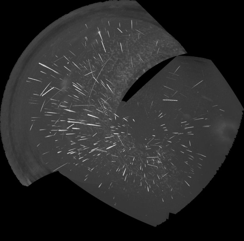 Meteors on Perseid maximum night of 12th-13th August 2025
This is a tracked stack of the meteors caught by my two Global Meteor Network cameras on the night of 12th-13th August, 2025. The north-west facing camera saw 238 Perseids, 8 Northern delta Aquarids, 5 eta Eridanids, 3 Southern delta Aquarids, 2 August Draconids, 2 kappa Cygnids and 25 others). The north-east facing camera saw 219 Perseids, 4 Northern delta Aquarids, 3 August Draconids, 3 Southern delta Aquarids and 14 others). There's a small zone of overlap, so some meteors were seen by both cameras.
