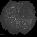 Filename=Quadrantids_2024_Jan-03-04_track_stack.jpg
Filesize=131KiB
Dimensions=1321x1315
Date added=Jan 05, 2024 Quadrantids_2024_Jan-03-04_track_stack.jpg
