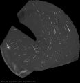 Filename=TrackStack_2025_07_31.jpg
Filesize=108KiB
Dimensions=1331x1370
Date added=Aug 02, 2025 TrackStack_2025_07_31.jpg