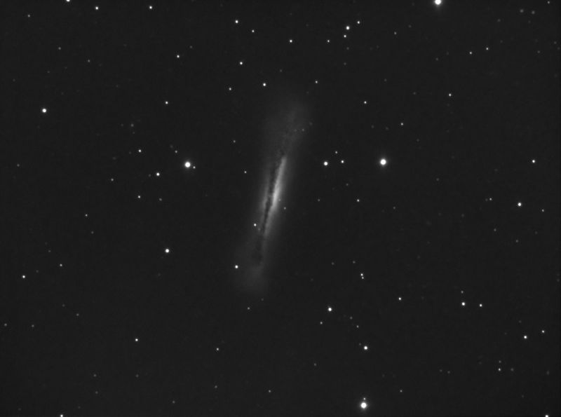 NGC 3628 part of Leo Triplet 270411
12x600
