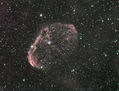 Filename=Fay_crescent_rgb.jpg
Filesize=177KiB
Dimensions=747x572
Date added=Sep 06, 2007 Fay_crescent_rgb.jpg