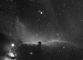 Filename=Horsehead-stacked-in-DSS-fo.jpg
Filesize=79KiB
Dimensions=1356x976
Date added=Jan 10, 2011 Horsehead-stacked-in-DSS-fo.jpg