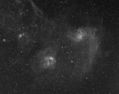Filename=IC405__and_IC410_12x900_QSI_Leitz__F3_dup.jpg
Filesize=1152KiB
Dimensions=2850x2253
Date added=Nov 22, 2011 IC405__and_IC410_12x900_QSI_Leitz__F3_dup.jpg