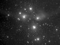 Filename=M45_13x300_Qsi_ED80_Lum_o.jpg
Filesize=395KiB
Dimensions=3205x2375
Date added=Jan 16, 2012 M45_13x300_Qsi_ED80_Lum_o.jpg