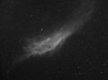 Filename=NGC1499_15x600_QSI_Leitz_F4_171111_7nm_ha.jpg
Filesize=555KiB
Dimensions=3226x2394
Date added=Nov 18, 2011 NGC1499_15x600_QSI_Leitz_F4_171111_7nm_ha.jpg