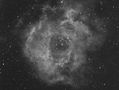 Filename=NGC2244-11x600-7nm-ha-ED80-.jpg
Filesize=439KiB
Dimensions=2000x1507
Date added=Mar 09, 2011 NGC2244-11x600-7nm-ha-ED80-.jpg