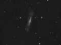 Filename=NGC3628-Leo-Triplet-12x600-.jpg
Filesize=101KiB
Dimensions=1356x1009
Date added=Apr 29, 2011 NGC3628-Leo-Triplet-12x600-.jpg