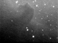 HorseHead_d.png