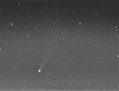 whitzhang.gif