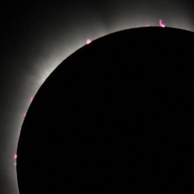 Solar Eclipse, 2006 March 29th
A closer view of the solar Prominences. Taken from Side in Turkey about 30 secs into totality
Link-words: Eclipse Sun