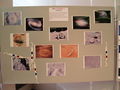 Filename=PA228278.jpg
Filesize=3883KiB
Dimensions=3264x2448
Date added=Dec 02, 2009 PA228278.jpg