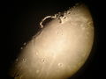 Filename=Moon_handle_ARB05.jpg
Filesize=686KiB
Dimensions=1597x1198
Date added=Apr 18, 2008 Moon_handle_ARB05.jpg