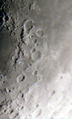 Filename=TLP_ARB01.jpg
Filesize=103KiB
Dimensions=229x380
Date added=Apr 18, 2008 TLP_ARB01.jpg