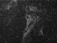 Filename=Group1-1-SigmaStack-LP.jpg
Filesize=979KiB
Dimensions=1392x1040
Date added=Aug 15, 2008 Group1-1-SigmaStack-LP.jpg