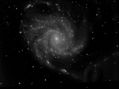 Filename=M101-0XXLum300.jpg
Filesize=98KiB
Dimensions=1392x1040
Date added=May 14, 2008 M101-0XXLum300.jpg