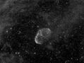 Filename=NGC6888_ddp_PS3.jpg
Filesize=1042KiB
Dimensions=1392x1040
Date added=Jul 30, 2008 NGC6888_ddp_PS3.jpg