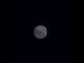 Filename=CS_Mars_20051119.jpg
Filesize=26KiB
Dimensions=640x480
Date added=Dec 04, 2005 CS_Mars_20051119.jpg