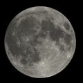 Filename=fullmoon29jan2010.jpg
Filesize=656KiB
Dimensions=2200x2200
Date added=Feb 02, 2010 fullmoon29jan2010.jpg