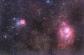 Filename=trifid12062010.jpg
Filesize=1118KiB
Dimensions=1727x1138
Date added=Jun 14, 2010 trifid12062010.jpg