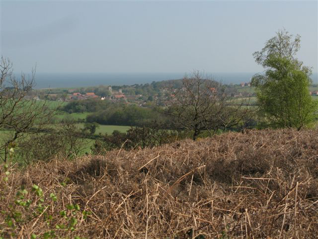 Kelling Heath view to sea 2009
