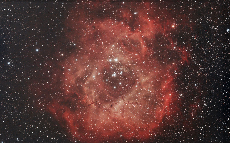 Rosette nebula NGC2237
Done over 3 nights, Bromley back garden 
800 ISO, dithering, captured in APT
Link-words: CarolePope