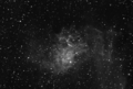 Filename=Flaming_Star_Kelling_6_x_1200secs_Atik_Ha_Mono.png
Filesize=11339KiB
Dimensions=3538x2394
Date added=Sep 20, 2012 Flaming_Star_Kelling_6_x_1200secs_Atik_Ha_Mono.png
