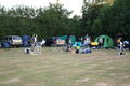 Filename=IMG_0182~0.jpg
Filesize=3101KiB
Dimensions=4272x2848
Date added=Jul 11, 2010 IMG_0182~0.jpg