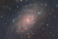 Filename=M33_HaLRGB_4th_try.png
Filesize=3656KiB
Dimensions=1131x766
Date added=Jul 19, 2018 M33_HaLRGB_4th_try.png
