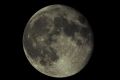 Filename=2018-02-01_l6_ap296_GIMP_IV.jpg
Filesize=818KiB
Dimensions=2024x1360
Date added=Feb 03, 2018 2018-02-01_l6_ap296_GIMP_IV.jpg