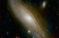 Filename=M31_E240s_G120_O4_T-5_11-hours_PI.jpg
Filesize=5067KiB
Dimensions=4010x2625
Date added=Nov 01, 2021 M31_E240s_G120_O4_T-5_11-hours_PI.jpg