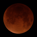 Filename=MoonEclipse0441_web.png
Filesize=7683KiB
Dimensions=2600x2600
Date added=Sep 29, 2015 MoonEclipse0441_web.png