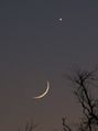 Filename=Moon_Venus_20070120-1719_Dunc_PICT3974.jpg
Filesize=132KiB
Dimensions=768x1025
Date added=May 14, 2008 Moon_Venus_20070120-1719_Dunc_PICT3974.jpg