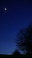 Filename=Moon_and_Venus_2020-01-29_P1020799_IV.jpg
Filesize=2294KiB
Dimensions=2520x4480
Date added=Jan 31, 2020 Moon_and_Venus_2020-01-29_P1020799_IV.jpg