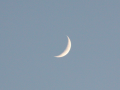 Filename=IMG_5545_Moon_cropped.png
Filesize=884KiB
Dimensions=800x600
Date added=Dec 26, 2014 IMG_5545_Moon_cropped.png