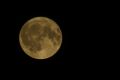 _53A0304_DxO.jpg