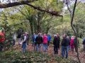 Filename=In_the_Woods_Wandsworth.jpg
Filesize=853KiB
Dimensions=918x686
Date added=Nov 05, 2024 In_the_Woods_Wandsworth.jpg