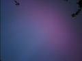 Filename=Michael_Griffiths.png
Filesize=74KiB
Dimensions=522x388
Date added=May 22, 2024 Michael_Griffiths.png