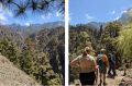 Filename=Pine_needles.jpg
Filesize=184KiB
Dimensions=848x559
Date added=Nov 29, 2024 Pine_needles.jpg