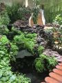 Filename=indoor_garden.JPG
Filesize=4461KiB
Dimensions=3024x4032
Date added=Nov 29, 2024 indoor_garden.JPG