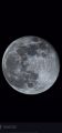 Filename=DA___wolf_moon.jpg
Filesize=298KiB
Dimensions=800x1696
Date added=Jan 28, 2024 DA___wolf_moon.jpg