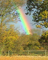 During one quick shower on Saturday afternoon there was a magnificent rainbow.