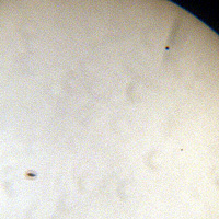 The transit of Mercury seen on a projected image of the Sun
