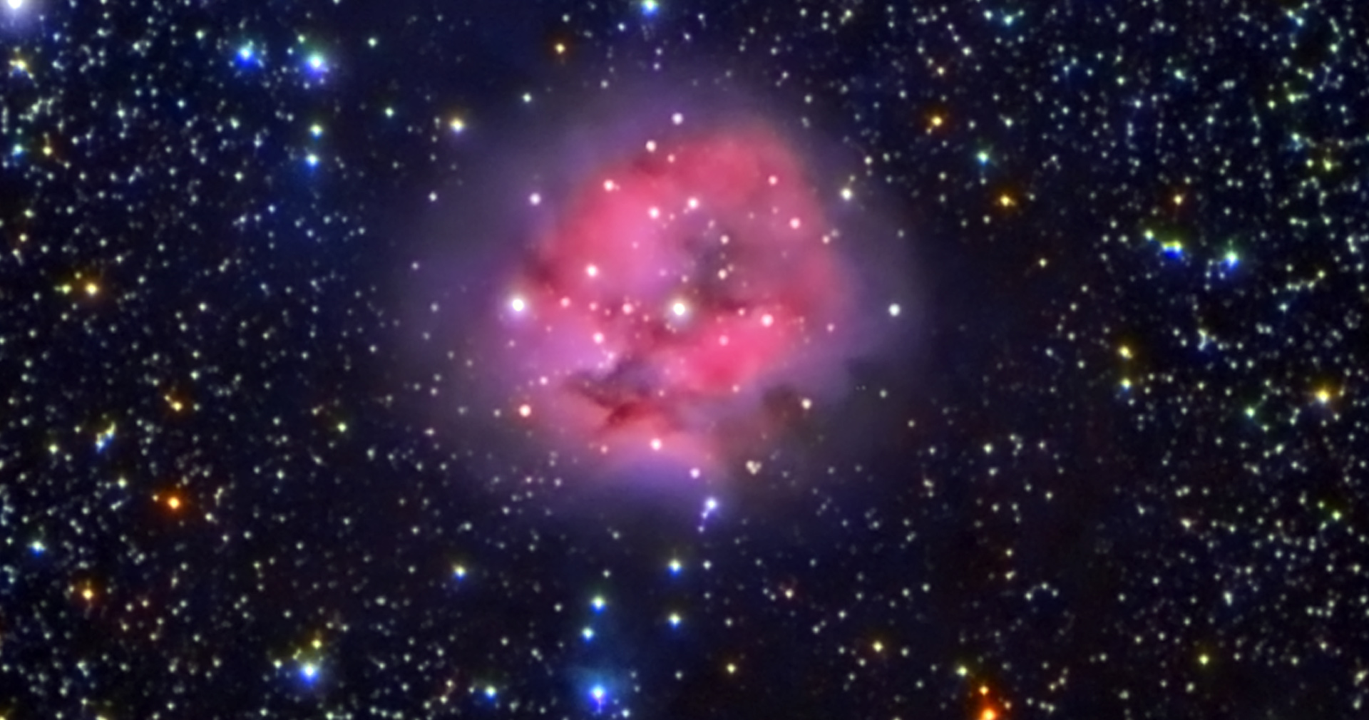 Members’ fabulous images